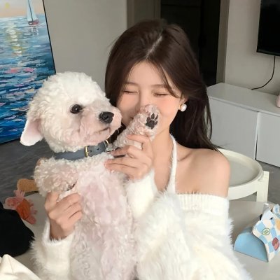 这不是喜剧